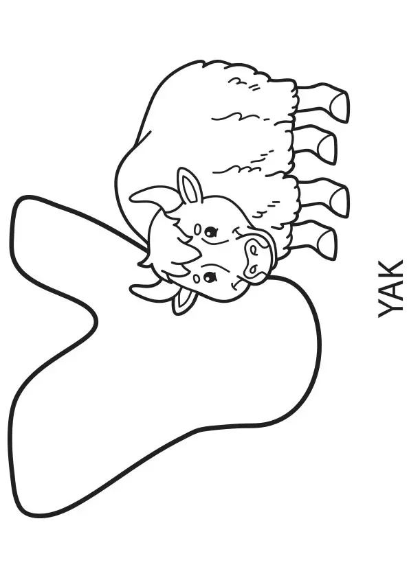 Y