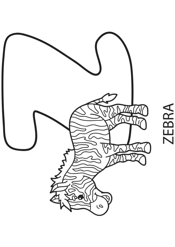 Z