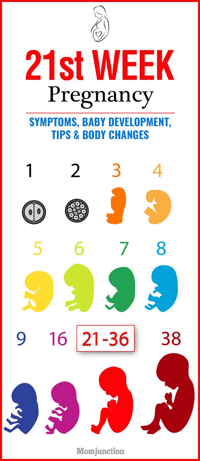 How Many Months Is 21 Weeks Pregnant Chart How Many Months Am I If Im 