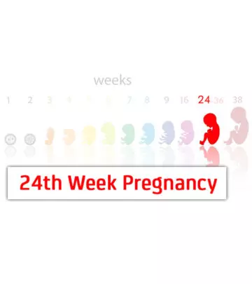 24th Week Pregnancy Symptoms, Baby Development And Bodily Changes
