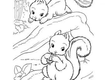 25 Interesting Squirrel Coloring Pages To Keep Your Child Busy