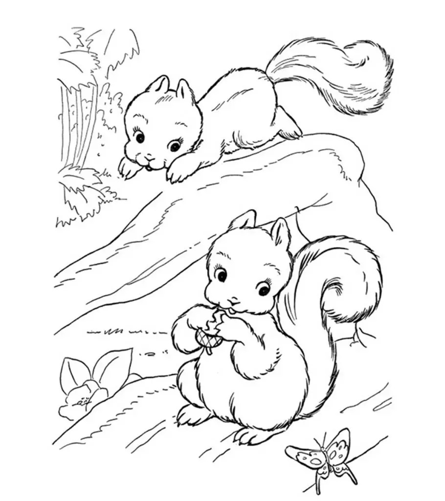 Download Top 25 Free Printable Squirrel Coloring Pages Online