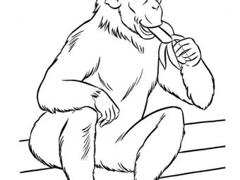 25 Interesting Zoo Animals Coloring Pages For Your Little Ones