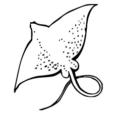 A Giant Stingray animal coloring page