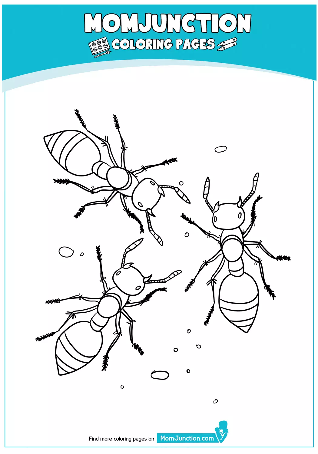 A-Printables-Ant-Coloring-Page-17