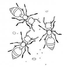 Coloring page with ants sun tree