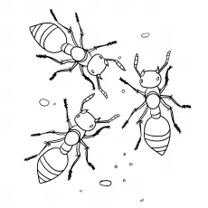 Coloring Page With Ants Sun Tree_image