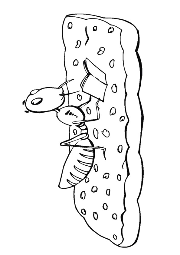 A-Printables-Ant-Reading-Book-Coloring