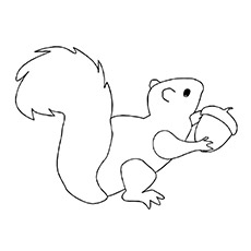 A-Squirrel-Coloring-book