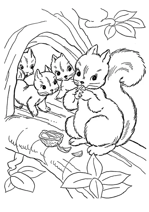 A-Squirrel-Coloring-group