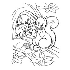 A-Squirrel-Coloring-group