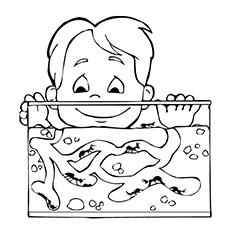 Boy counting ants on coloring page