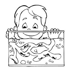 Boy Counting Ants On Coloring Page_image