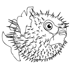 A creatures fish animal coloring page