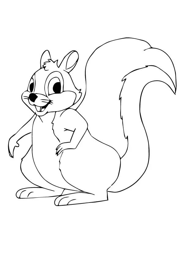 A-squirrel-coloring-da