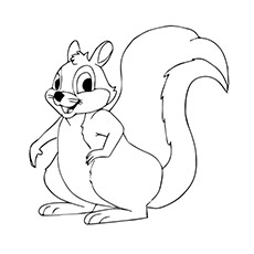 A-squirrel-coloring-da