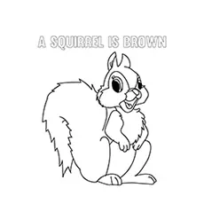A Squirrel is Brown Coloring