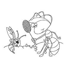 Ant and mosquito coloring page