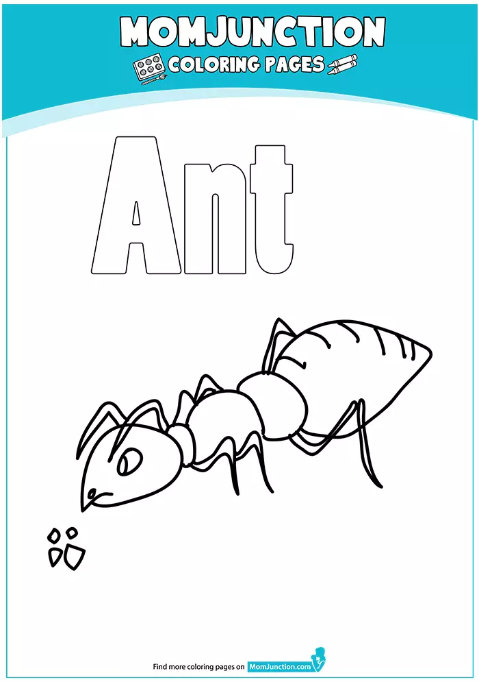 Ant-coloring-big-16