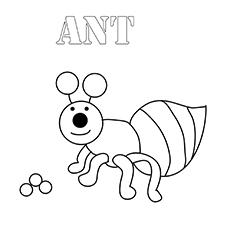 Ant coloring page