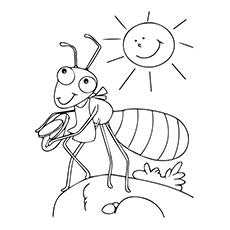 Ant sun coloring page