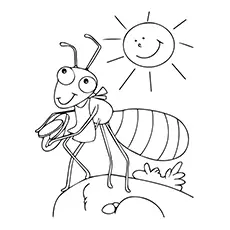 Ant Sun Coloring Page_image