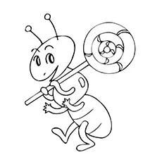 Ant Holding Lollipop Coloring Page_image