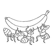 Ants-Coloring-banana