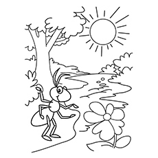 coloring page with ants sun tree