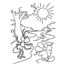 Coloring Page With Ants Sun Tree_image