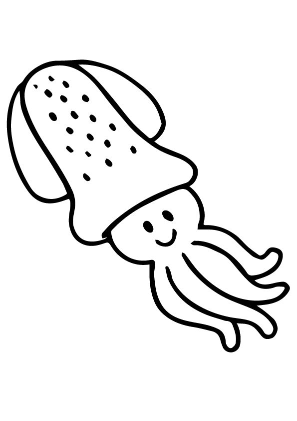 Baby-Squid