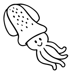 Baby Squid animal coloring page
