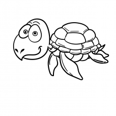Cartoon-Turtle-17