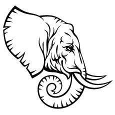 Elephant-head