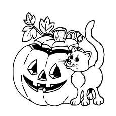 black cat coloring pages halloween for kids