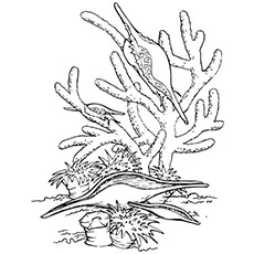 I SeaHorses animal coloring page
