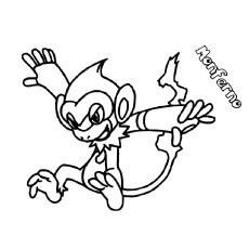 Pokemon Monferno Coloring Pages