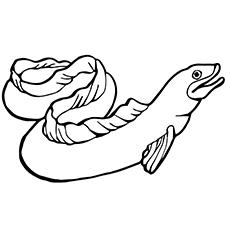 Moray Eel Sea animal coloring page