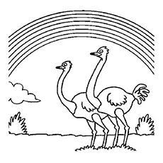 Rainbow And Ostrich coloring page