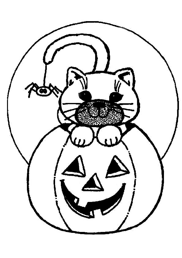 Scary-Halloween-small-Cat
