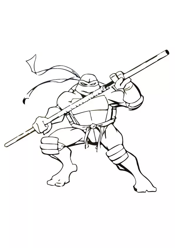 TMNT-Donatello