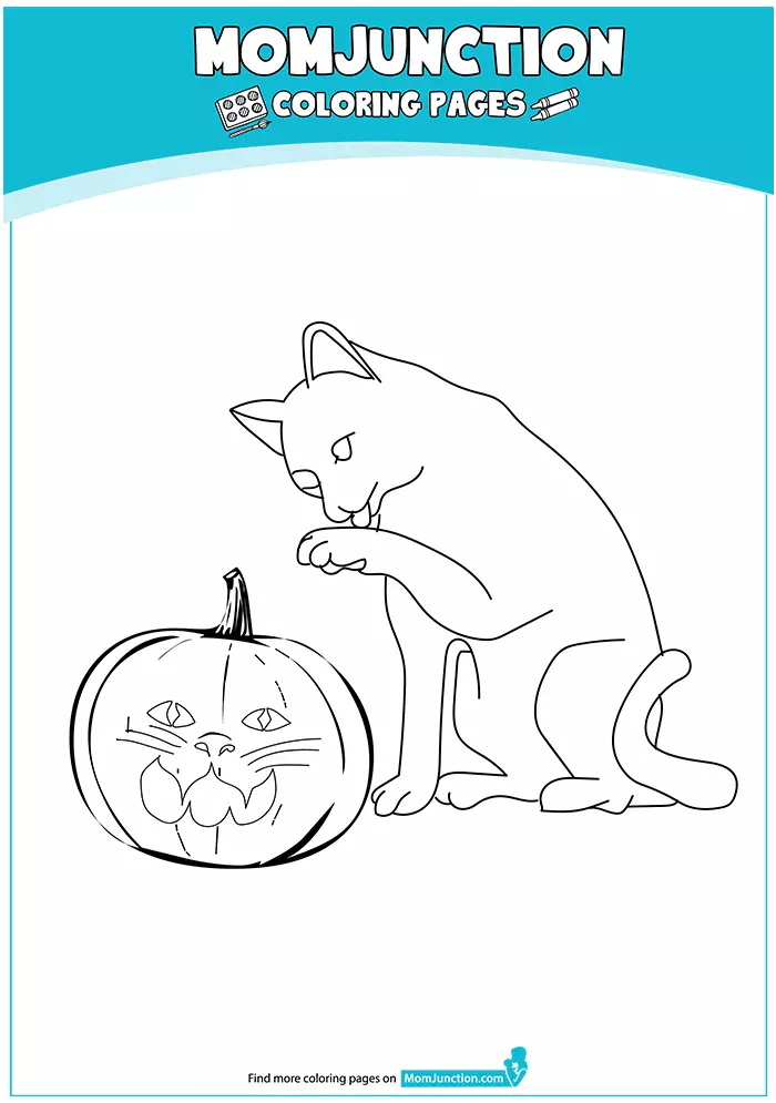 The-Cat-Pumpkin-16