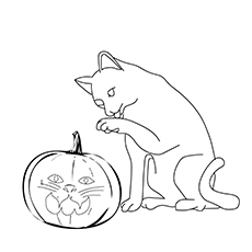 The-Cat-Pumpkin-16