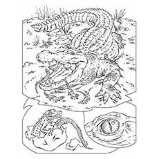 wild animal coloring pages hard