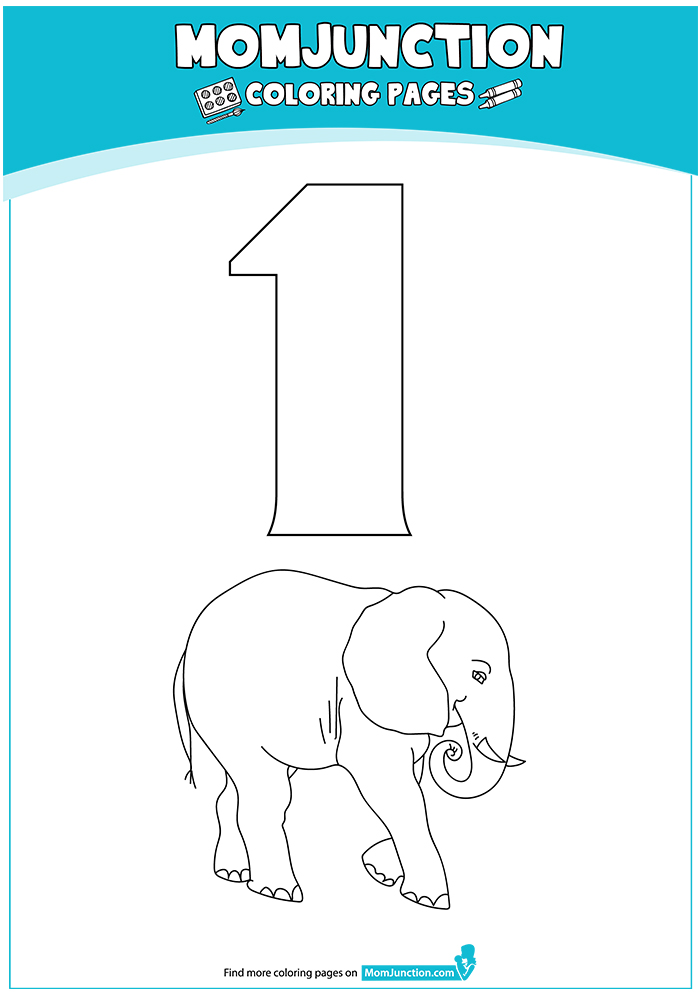 The-Elephant-With-Number-16