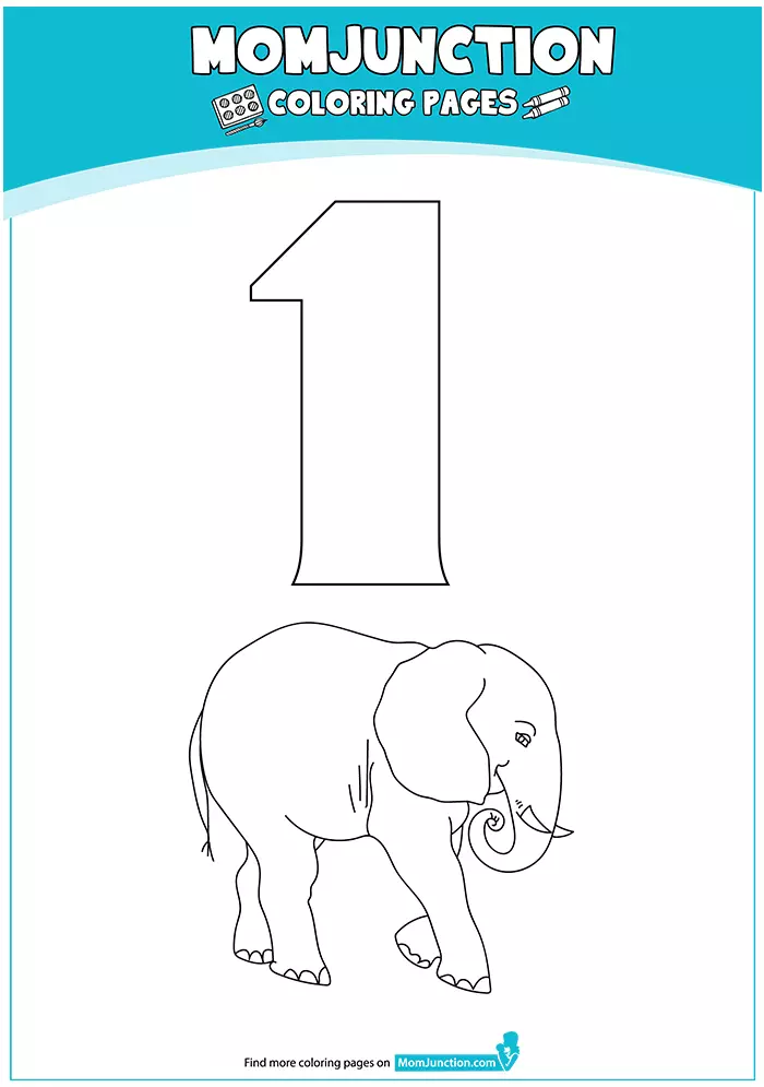 The-Elephant-With-Number-16