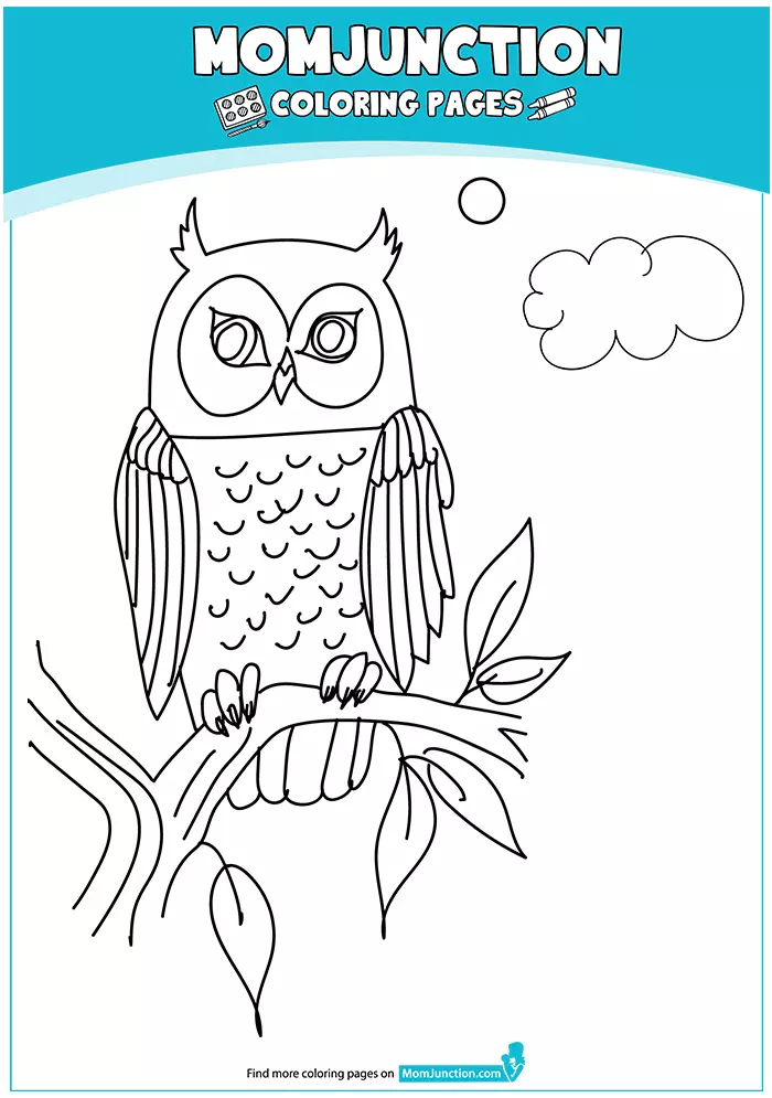 The-Owl-coloring-pages-16