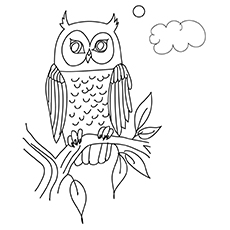 The-Owl-coloring-pages-16