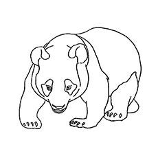 top 25 free printable wild animals coloring pages online