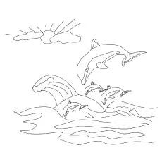 The Playful Dolphins coloring pages